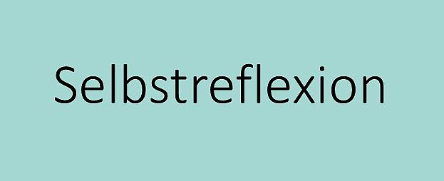 Zum Bereich Selbstreflexion